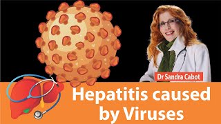 Viral Hepatitis  Hepatitis C  Hepatitis B  Hepatitis Treatment hepatitis hepatitistreatment [upl. by Leunamne]