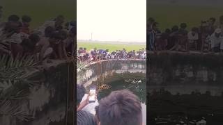 Ye kya huapawan singhka gana par Raju Rangeela Bihari Yadav ka new shortsviralvideos trending😭 [upl. by Notyap414]