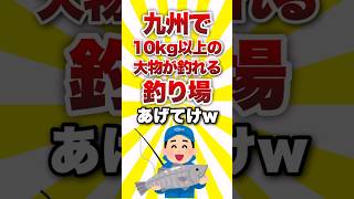 九州で10kg以上の大物が釣れる釣り場あげてけww shorts 釣り [upl. by Yelsa959]