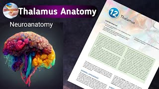 Thalamus Anatomy Functions  Relations amp Connections  Snells Neuroanatomy chapter 12 🧠 [upl. by Menzies]