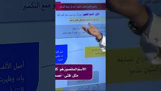 ماذا نقصد بالاسم المقصور؟ ما هو الاسم المقصور؟ 58 [upl. by Asilem940]