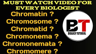 Chromatin chromosome chromatid chromonema chromonematachromomere [upl. by Codding]