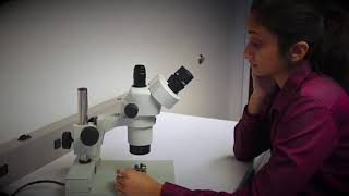 Aven Cyclops 4K Ultra HD Digital Microscope [upl. by Adyam]