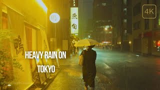 Tokyo Under Rain 4K Walking Tour of Hamamatsuchos Hidden Gems [upl. by Allana]