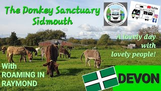 309 151023 Sidmouth Donkey Sanctuary Devon With Helen amp Karl from ROAMING IN RAYMOND [upl. by Rokach]