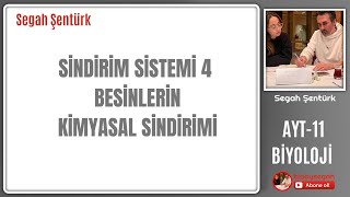 SİNDİRİM SİSTEMİ4  BESİNLERİN KİMYASAL SİNDİRİMİ VE ENZİMLER  AYT BİYOLOJİ  11SINIF  YKS 2025 [upl. by Meluhs]