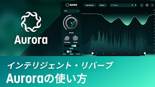 Auroraの使い方 [upl. by Rajewski]