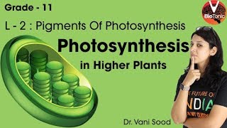 Photosynthesis in Higher Plants L2  CBSE Class 11 Biology  NEET  AIIMS  Vaani Maam  VBiotonic [upl. by Krystin]