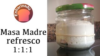 Masa madre refresco 111  wwwenharinadocom [upl. by Nosiaj]