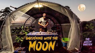 Moon Planting And Gardening Guide  Moon Planting Unlocking the Full Potential of Your Seeds [upl. by Haikan]