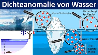 Dichteanomalie des Wassers  Bedeutung für das Leben im See  Biologie Mittel und Oberstufe [upl. by Koralie]