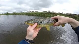 River Fishing Scotland  Trout and Grayling  1080p HD [upl. by Rosenblatt]