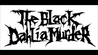 The Black Dahlia Murder  Closed Casket Requiem Max Subzero Instrumental Cover 2015 [upl. by Tufts]