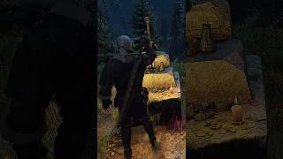 Interesting Hidden Details In The Witcher 3 [upl. by Aynekal]