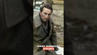 Yakov Dzhugashvili Stalin’s Son Who Died in a Nazi Concentration Camp history shorts ww2 [upl. by Sibilla45]