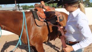 How to Correctly Cinch Your Horse [upl. by Devinne]