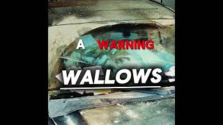 A Warning  Wallows Lyrics [upl. by Eugilegna]