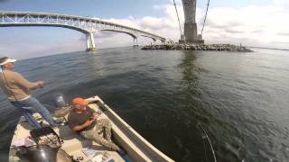 October 1 2014 Fishing Kent Narrows for Rockfish and Bluefish [upl. by Raf]