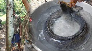 SE03EP090  PINAG FIESTAHAN ang ISANG TULYASING PALOS  GIANT EEL  IGAT with cobraprince4601 [upl. by Lenahtan]