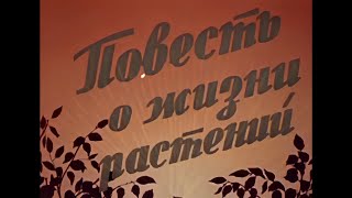 ПОВЕСТЬ О ЖИЗНИ РАСТЕНИЙ Научнопопулярный фильм1947 [upl. by Ylsew]