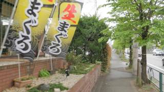 Videowalk to EdoTokyo open air museum in Koganei city Tokyo [upl. by Baerl90]