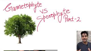 Gametophyte VS Sporophyte Part  2 l NEET l CBSE l Plant Kingdom [upl. by Enyalaj]