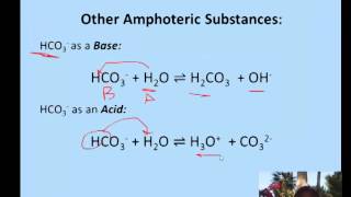 Amphoteric Substances amp Conjugate Bases [upl. by Akalam748]