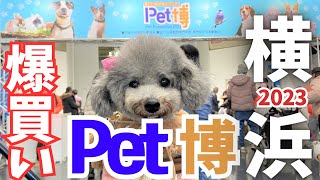 【Pet博2023横浜】大混雑の横浜ペット博に大阪から愛犬トルテと行ってきたよ！視聴者さんにも会えてビックリ🐶💕inパシフィコ横浜【前編】（トイプードルのTorte channel [upl. by Sammie]