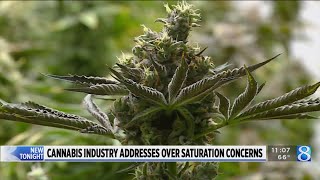 Oversaturation concerns grow in Michigan cannabis industry [upl. by Cohbert]