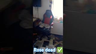 Rose dead ✅ comedy freecomedy funny comedyinfluencer memes [upl. by Berkie]