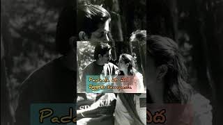 Geetanjali movie Songs aamani paadave haaygaa Lyrical Song Telugu Nagarjuna hits [upl. by Yanahs136]