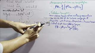 chimie en solution réactivité chimiquecalculer le ph des solutions amphotéres et tampons part 14 [upl. by Huai191]