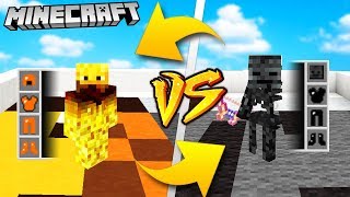 WITHER SKELETON VS BLAZE  MINECRAFT  Vito VS Bella [upl. by Patsis]