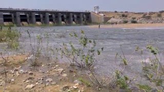 Chagallu Reservoir gates opening first time in the Dam History [upl. by Arno]