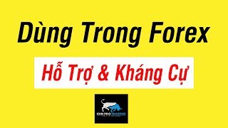 BÀI 23  Hỗ Trợ và Kháng Cự trong giao dịch Forex  CHN PRO TRADING [upl. by Kellsie]