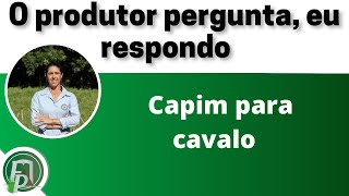 CAPIM PARA CAVALO [upl. by Arymas]