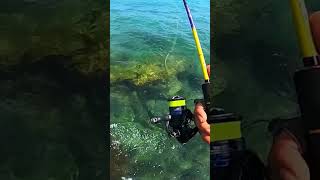 when you Chase from silence Fishing Spot StrikerAnglers [upl. by Alonzo]