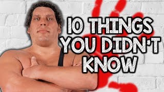 10 Things You Didnt Know About Andre The Giant [upl. by Leda]