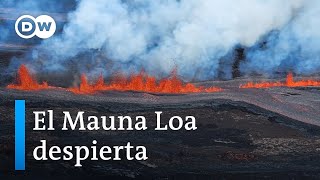 El mayor volcán activo de la Tierra entra en erupción tras 38 años [upl. by Marie-Ann]