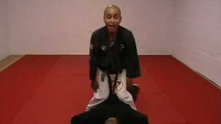 CASA DE KENPO  BROWN BELT  LEAP OF DEATH [upl. by Annaeiluj747]