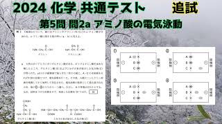 2024追試第5問 問2a アミノ酸の電気泳動 [upl. by Armanda]