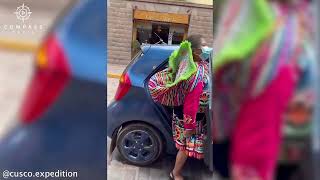 Alpaca Climbs Into Taxis in Peru [upl. by Eesdnyl]