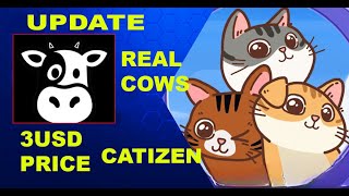 UPDATE CATIZEN AT REAL COWS HOUSE CATI MAY PRICE NA 3USD [upl. by Savadove]