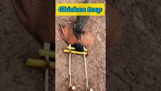 making amazing trap to catch the Greater coucal bird trap wildman buildtrap creativetraps [upl. by Atteloc]