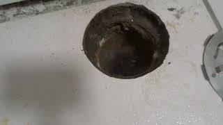 Slow Draining Shower DrainHow To Fix It FastEasy Tutorial [upl. by Filia]