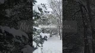 Its beginning to look like Christmas in Colorado ❄️🌨️ [upl. by Micheal]