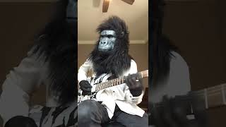 Dokken Mr Scary guitar music gorilla [upl. by Fachanan]