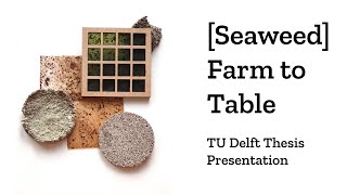 TU Delft Explore Lab Architecture Thesis  Seaweed Farm to Table [upl. by Heppman10]