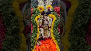 Kandasashti 2024 🦚✨🙏 youtubeshorts god trending kandhasasti murugan devotional viralvideo [upl. by Lavery]