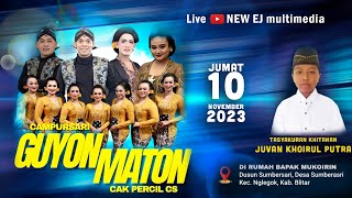 Live Campursari Guyon maton Cak Percil cs edisi 10 November 2023 Sumberasri Blitar [upl. by Ellenwahs126]